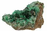 Fluorite and Galena Crystal Association - Rogerley Mine #97885-1